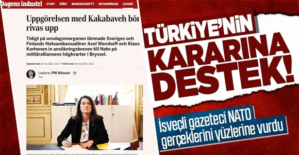 İsveçli gazeteciden Türkiye’nin NATO kararına destek
