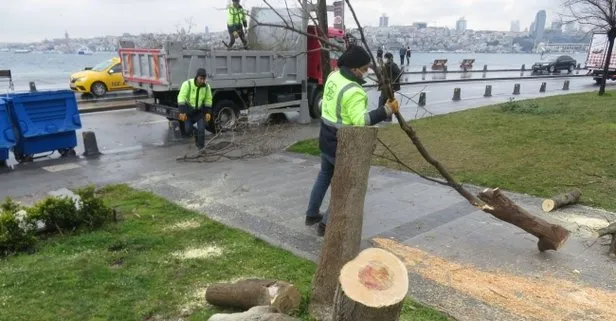 Üsküdar'da 2 ağaç kesen şüphelilere ibretlik ceza