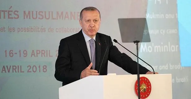 Köpekbalığı gibi geliyorlar