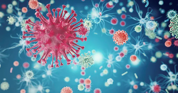 Bilim insanlarından ezber bozan araştırma! Mutasyona uğrayan koronavirüs zayıflar mı güçlenir mi?-6