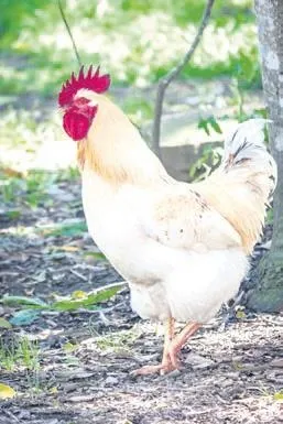 paramparca-paramparca-esi-kayip-basvurusu-yapti-gunler-sonra-cansiz-bedenine-ulasildi-1667347115172.jpeg Paramparça! Eşi, kayıp başvurusu yaptı! Günler sonra cansız bedenine ulaşıldı-7