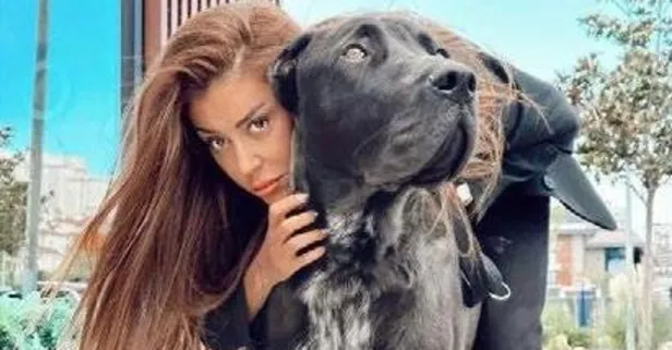 Sosyal medya fenomeni Banu Parlak’ın köpeği Drago, başka bir köpeği parçaladı