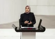 Başörtüsü düşmanlarının hedefinde bu kez AK Parti Grup Başkanvekili Özlem Zengin var! Sosyal medyadan nefret kustular
