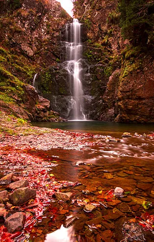 Rüyada büyüdüğünü görmek ne anlama gelir?