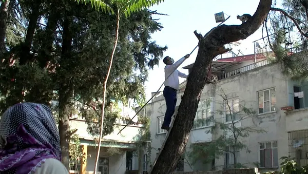 16-gun-boyunca-ac-susuz-agacta-mahsur-kalan-kediyi-itfaiye-kurtardi-1603880137761.jpg 16 gün boyunca aç susuz ağaçta mahsur kalan kediyi itfaiye kurtardı-2