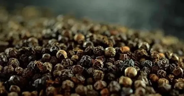 Diş çürüklerine karşı karabiber etkisi