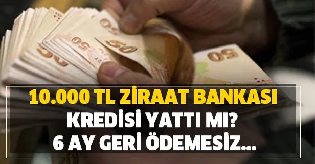 ziraat bankasi 10 000 tl kredi vermeye