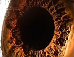 Gözün içinden