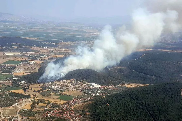 İzmir'de ormanlık alanda yangın