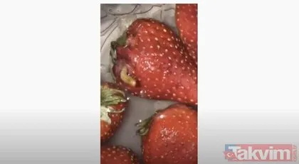 Çilek deneyi videosu doğru mu? Gerçekler ortaya çıktı! Meğer tüm dünyayı kandırmış...