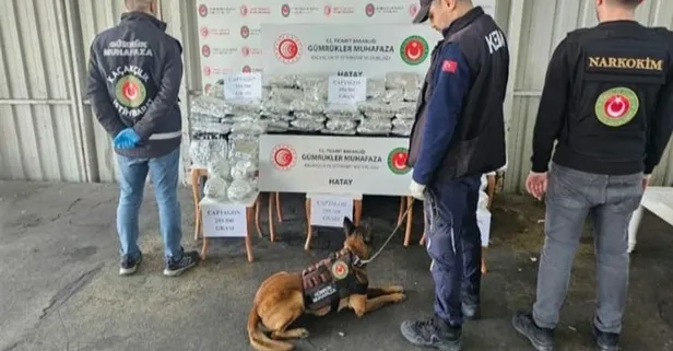 Hatay İskenderun Limanı'nda 1 milyon 392 bin uyuşturucu hap ele geçirildi