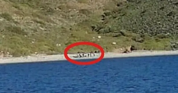 Son dakika: Yunan askerlerinin ölüme terk ettiği kaçak göçmenleri Türk Sahil Güvenliği kurtardı