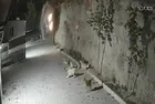 Denizli'de feci kaza! 2 kişiye mezar olan otomobil uçurumdan düştü