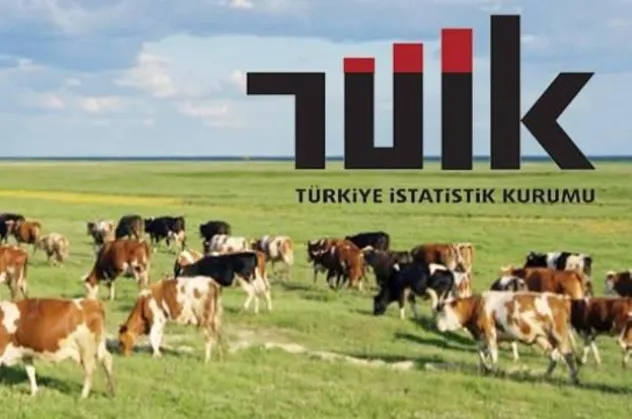 Son dakika: TÜİK 2019 yılına ilişkin hayvansal üretim istatistiklerini açıkladı