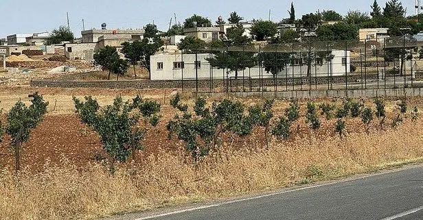 Şanlıurfa’da kuduz alarmı: 2 mahalle karantinaya alındı | Valilikten kritik açıklama