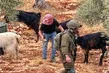 İsrail basınındaki zehirleme iddialarının arkasından işgalci siyonistler çıktı!