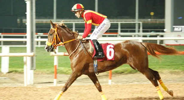 Halis Karataş ölümden döndü! İşte ünlü jokeyin attan düşüş anı-3