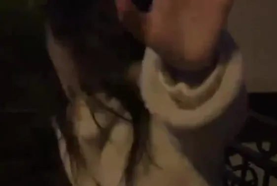 Yolcudan taksiciye tekme!