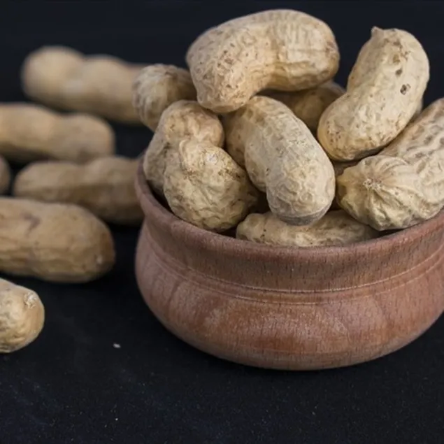 Ağrı kesici yer fıstığı