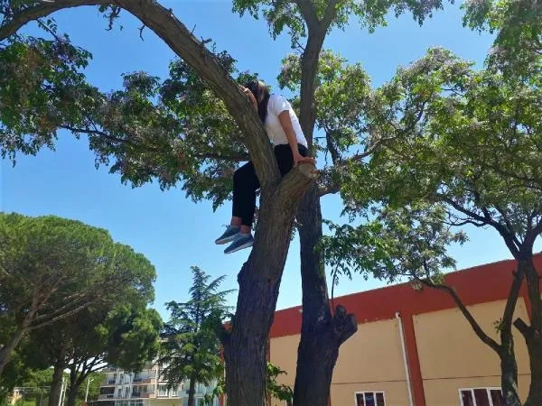 Kediyi kurtarmak için ağaca çıkan lise öğrencisi ağaçta mahsur kaldı-1