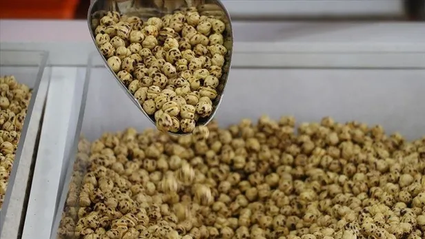 nefroloji-uzmani-doktor-pinar-ergin-uyariyor-ilerleyen-yas-bobrek-hastaliklarina-davetiye-cikariyor-1640459005504.jpeg Nefroloji Uzmanı Doktor Pınar Ergin uyarıyor! İlerleyen yaş böbrek hastalıklarına davetiye çıkarıyor-6