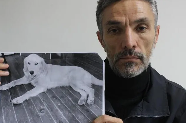 Bursa'da çalınan köpeğini dedektif gibi iz sürüp Amerika'da buldu