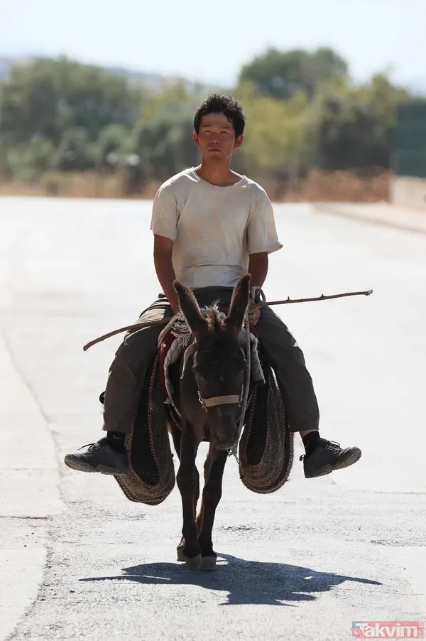 Günün en ilginç haberi: Japon turist Merzifon'dan aldığı eşekle Türkiye'yi gezdi - 17