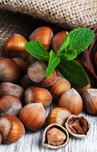 Rüyada fındık görmek ne anlama gelir?