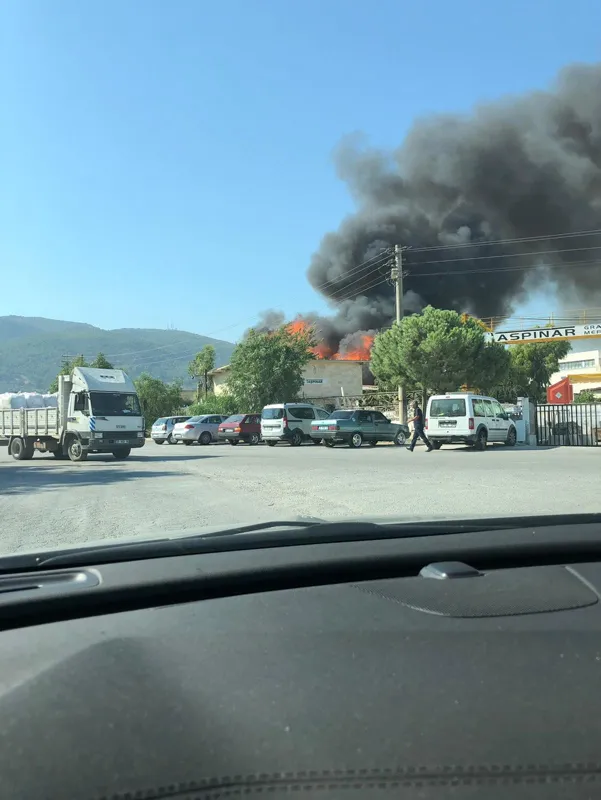 Son dakika: İzmir'de palet fabrikasında büyük yangın!-3