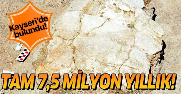 Kayseri’de bulundu! Tam 7,5 milyon yıllık!