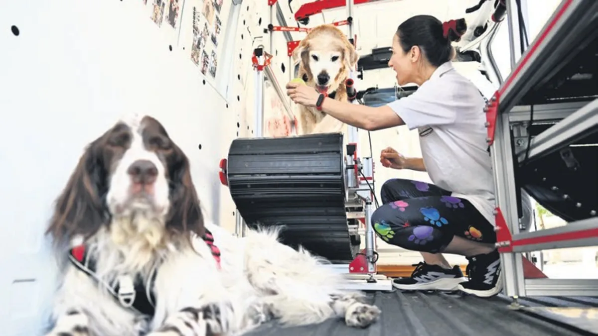 Vefat eden köpeği Şeker'in anısına diğer köpeklerin sağlığına destek oluyor!