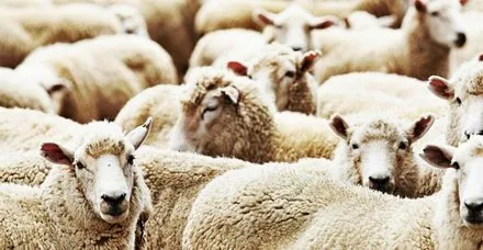 Kurban Bayramı'na kaç gün kaldı? Kurban Bayramı tatili 9 gün mü kaç gün, hangi ayda?