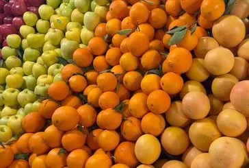Yüzlerce mükellef kayıt dışı çıktı