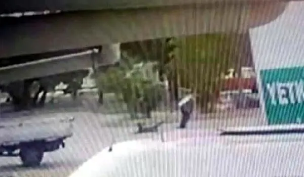 İzmir Bornova'da dehşete düşüren olay! Ayakları bağlanıp sürüklenen sokak köpeği öldü-3