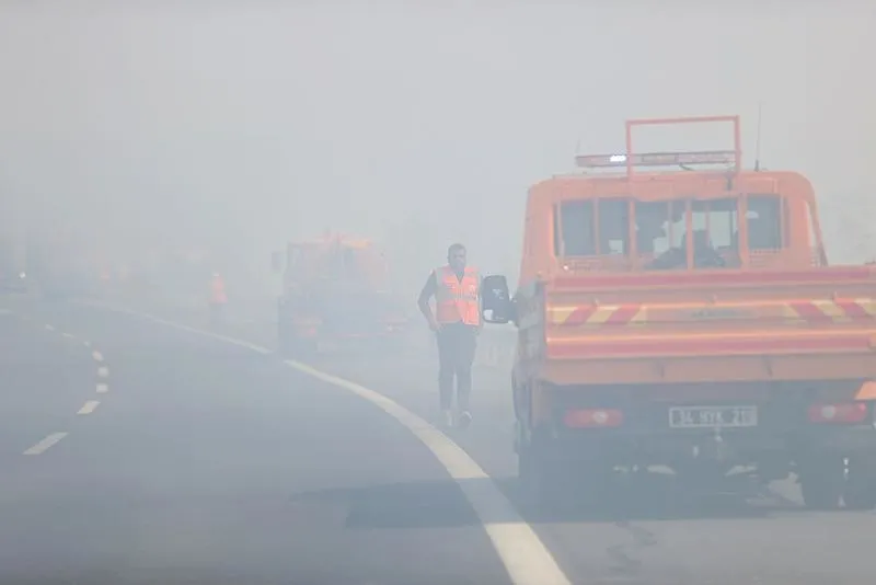 Kırklareli'nde ağaçlık alanda çıkan yangın (AA)