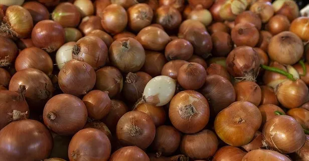 Patates-soğan ihracatına ön izin