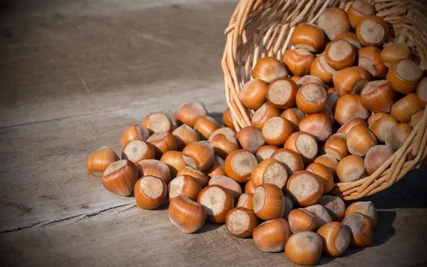 findik-fiyatlari-ne-kadar-31-mart-carsamba-findik-fiyati-ordu-giresun-il-il-guncel-liste-nisanda-4-dolardan-alici-bulacak-1617171505059.jpg Fındık fiyatları ne kadar? 31 Mart Çarşamba fındık fiyatı Ordu, Giresun il il güncel liste! "Nisan'da 4 dolardan alıcı bulacak"-4