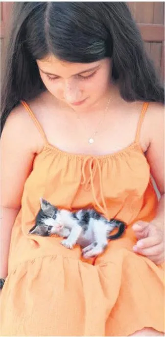 1648508630280.jpeg Şanslı kedi çöp kutusunda bulundu! 9 bin km uçup sahibine kavuştu gönüllere taht kurdu-3