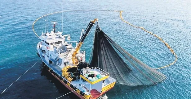 Türk balıkçıları kutuplara açılıyor! Krill avlanacak Türkiye'ye getirilecek, işlenerek iç piyasaya verilecek