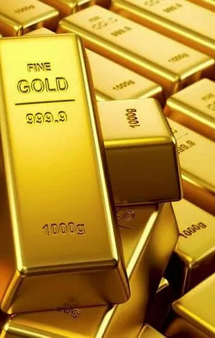 Türkiye'ye altın kaçıran şebeke çökertildi