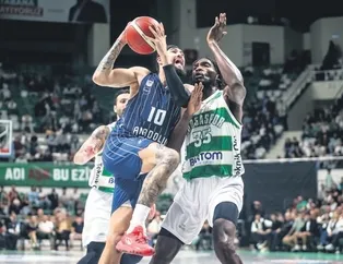 Anadolu Efes güle oynaya
