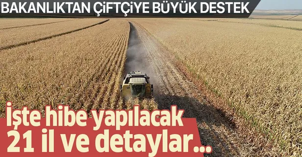 Son dakika: Tarım ve Orman Bakanlığı'ndan çiftçiye hibe desteği! İşte tohum hibesi yapılacak 21 il ve detaylar...