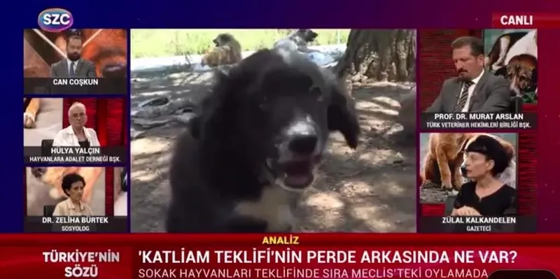 medyadaki-kopekperest-basiboslarin-gezi-hayali-chp-yandasi-sozcude-sokak-savasi-tehdidi-direnis-buyur-tahminle-1721892850107.jpeg SÖZCÜ TV'deki 'Sokak savaşı' tehdidinin kayıtlara geçtiği yayın