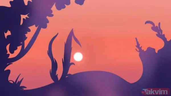 Bu karede ilk gördüğünüz kendinize bile inkar ettiklerinizi açığa çıkarıyor! Sosyal medyayı karıştıra test içinizdeki gerçeği ifşa ediyor - 2