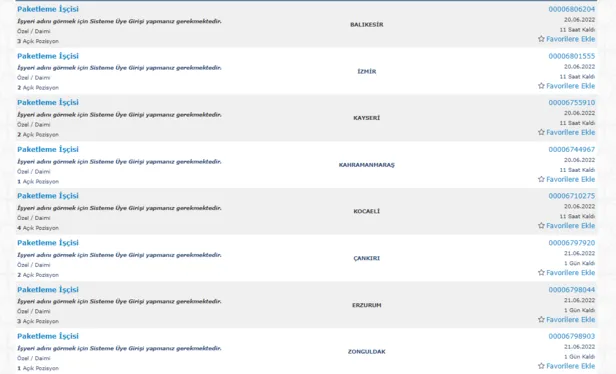 Bu habere dikkat! Evinizden dışarı adım atmadan her ay 5000 TL ek para kazanma şansınız var-6