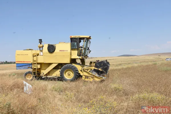 Nadasa bırakacaktı pelemir ekti jet yakıtı üretilecek - 15