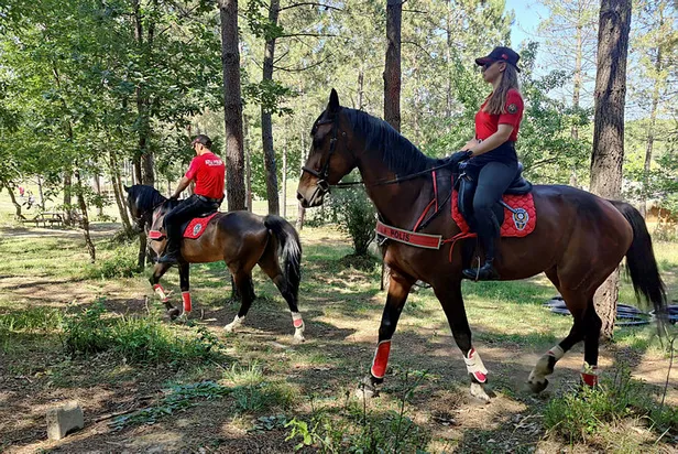 Son dakika: İstanbul'da ormanlara giriş yasağı! Vali Yerlikaya duyurdu: Ormanlara giriş yasağı 31 Temmuz'a kadar sürecek! İşte mangal yapmanın yasak olduğu yerler...-3