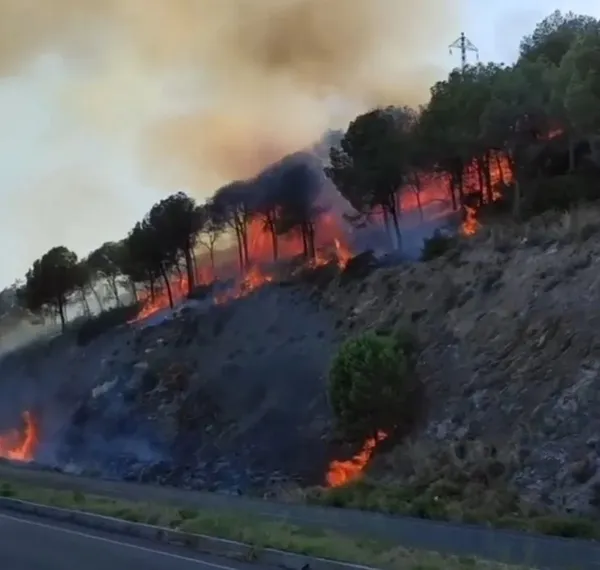 son-dakika-gaziantep-ve-izmirde-korkutan-orman-yangini-havadan-ve-karadan-mudahale-ediliyor-1689790871595.jpg Son dakika: Gaziantep'te korkutan orman yangını: Havadan ve karadan müdahale ediliyor-5