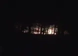 Tekirdağ'da orman yangını