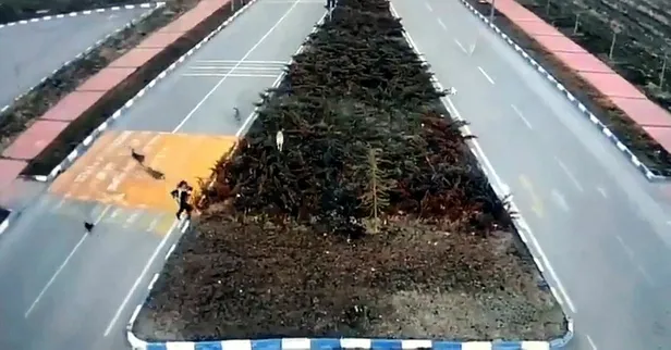 7-kopek-birden-saldirdi-genc-kizin-zor-anlari-kamerada-1649517894006.jpeg 7 köpek birden saldırdı! Genç kızın zor anları kamerada-4